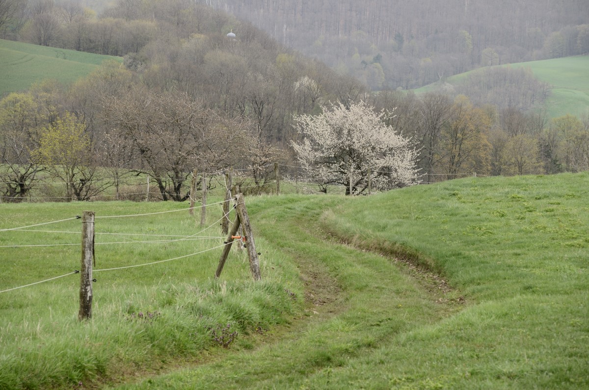 DSC_8245_00001_03n.jpg