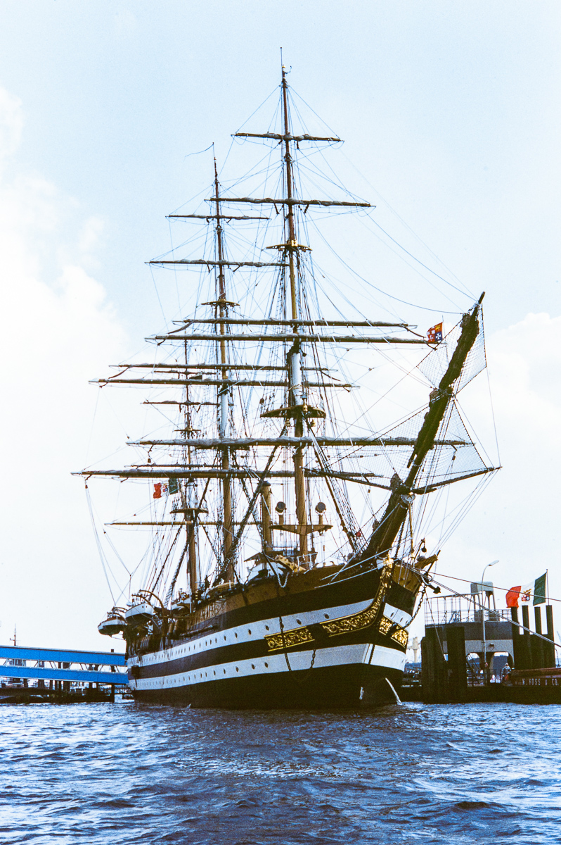 DSC_8247.jpg