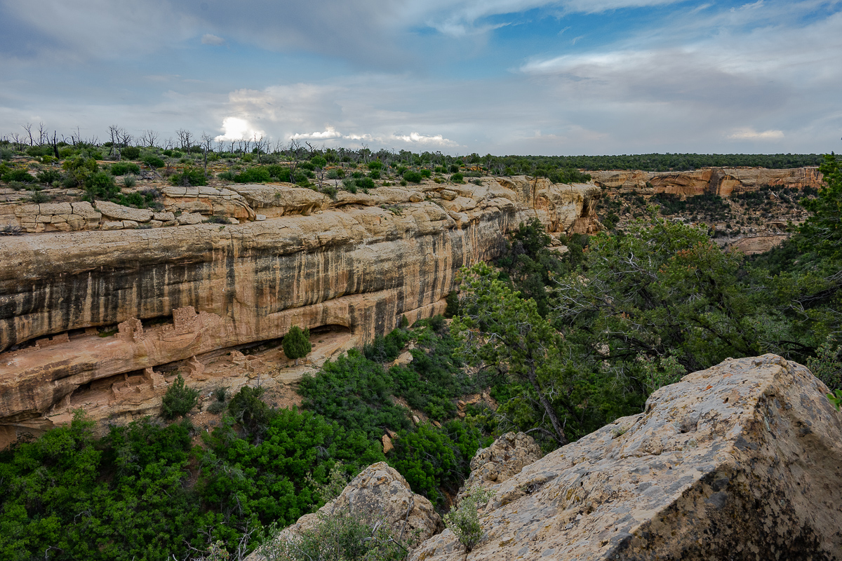 DSC_8250.jpg