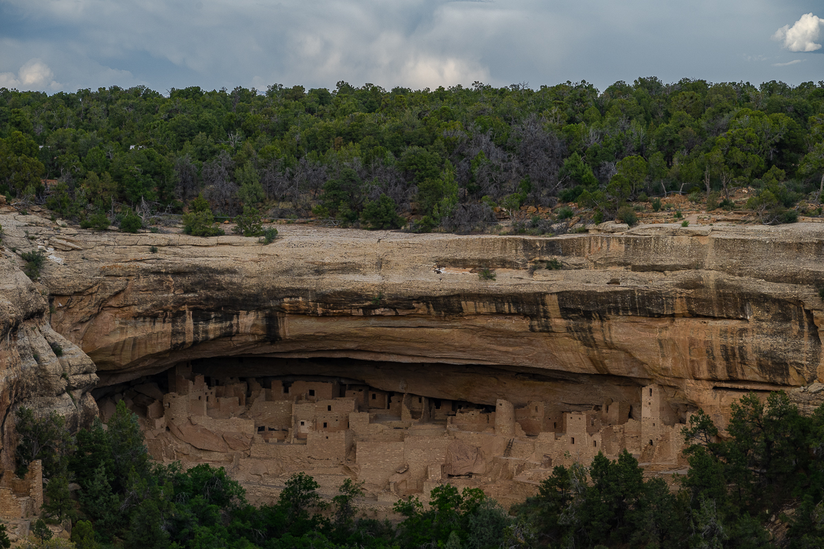 DSC_8257.jpg
