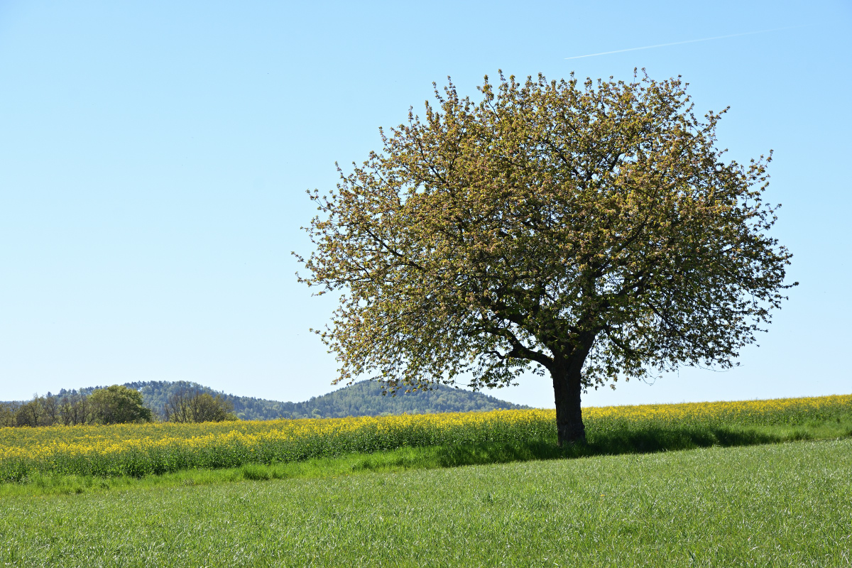 DSC_8289.JPG