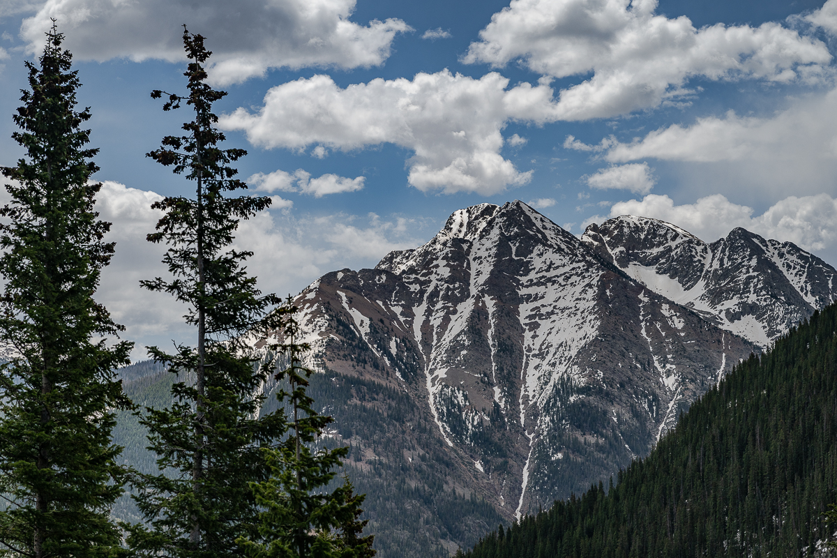 DSC_8298.jpg