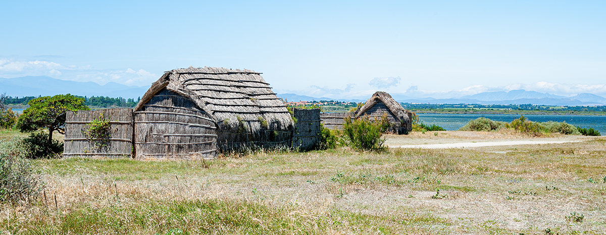 DSC_8308.jpg