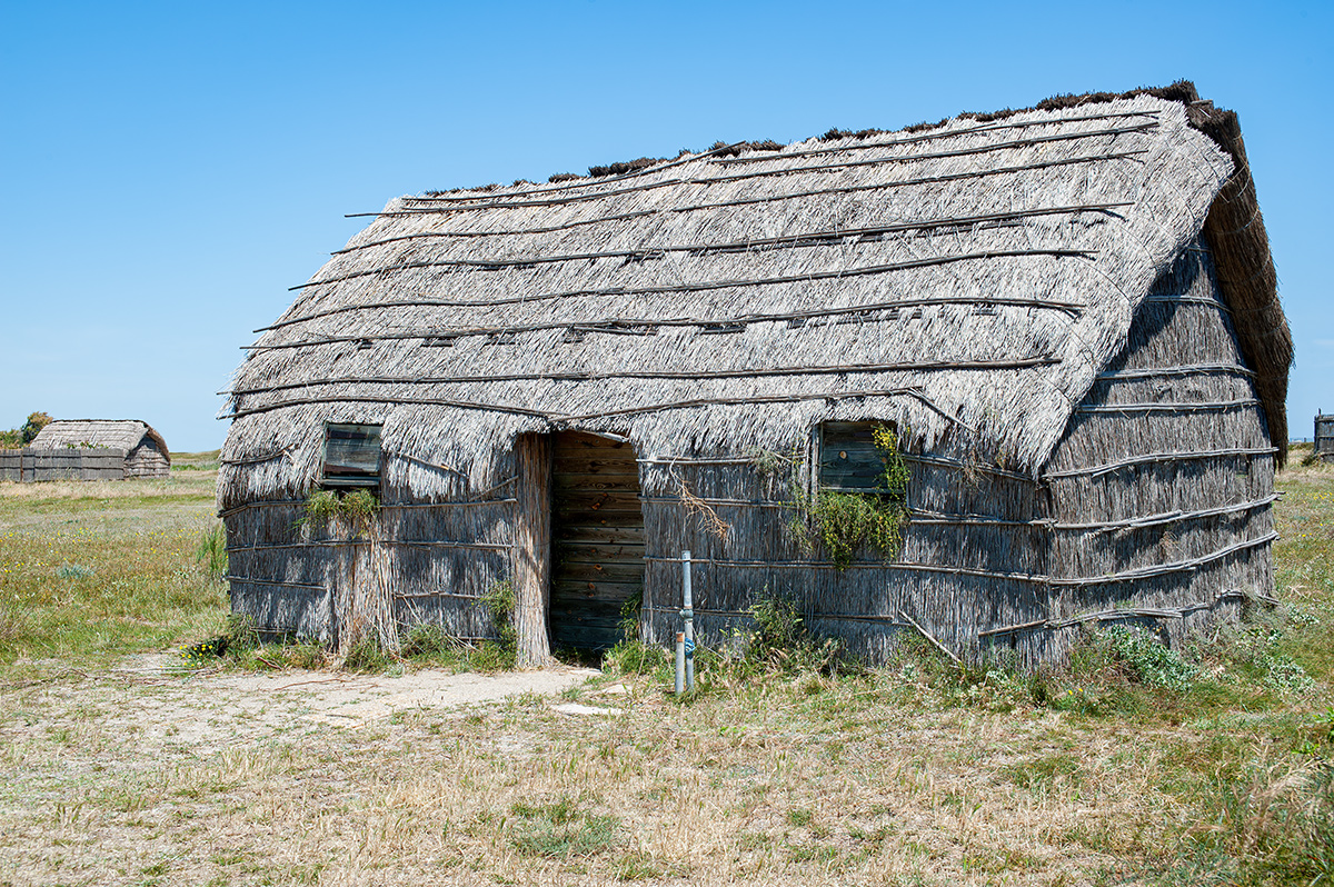 DSC_8310.jpg