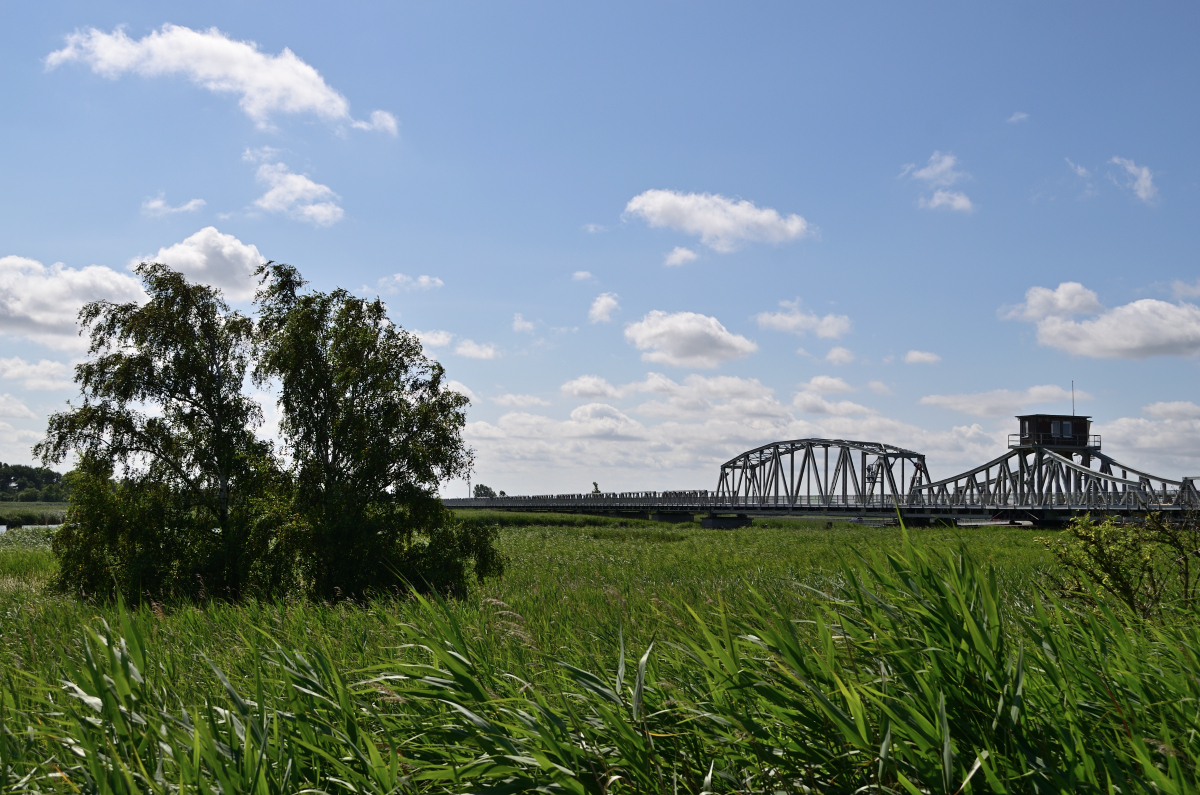 DSC_8319.JPG