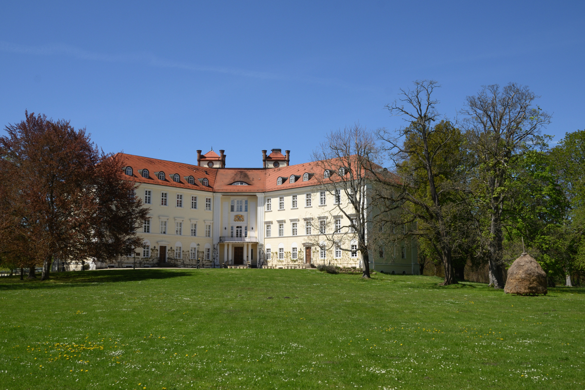 DSC_8321.JPG
