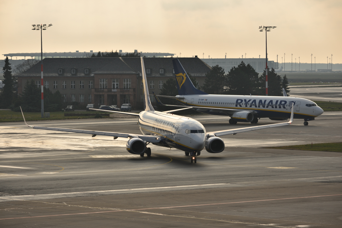 DSC_8336.JPG
