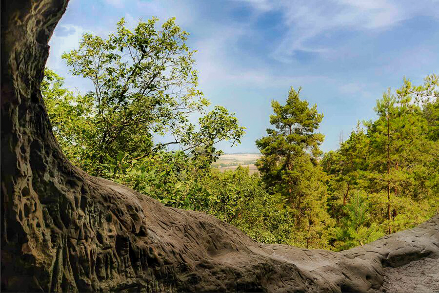 DSC_8350-NEF_DxO_DeepPRIME_neu.jpg