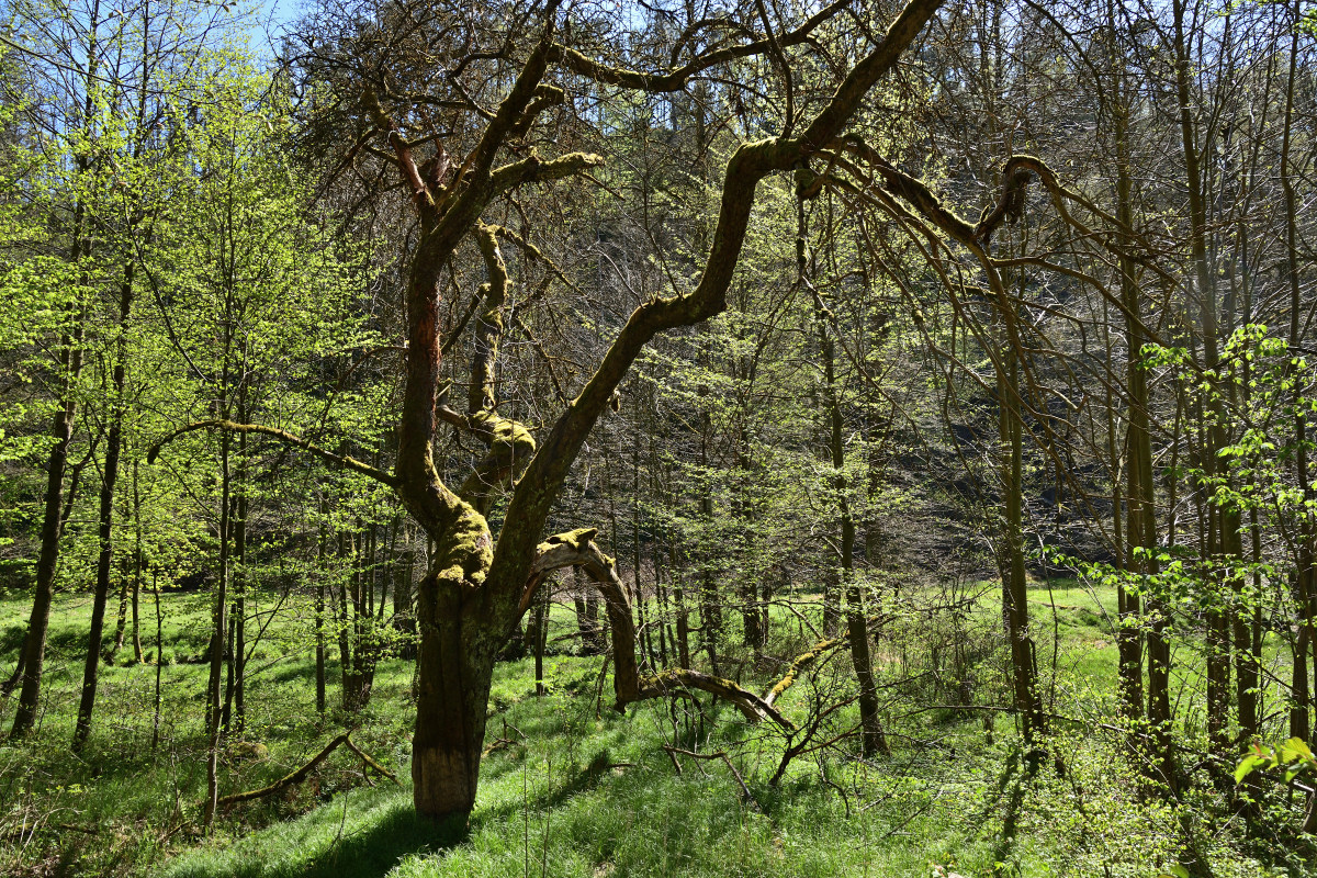 DSC_8379.JPG