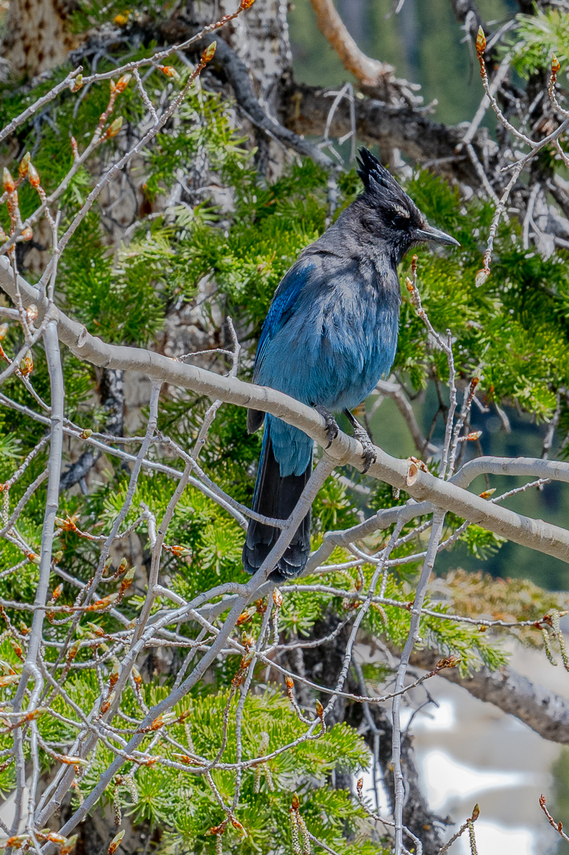 DSC_8381.jpg