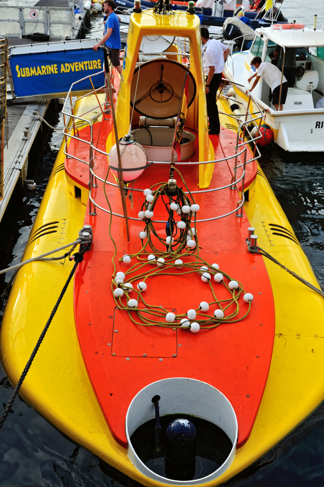 DSC_8387.jpg