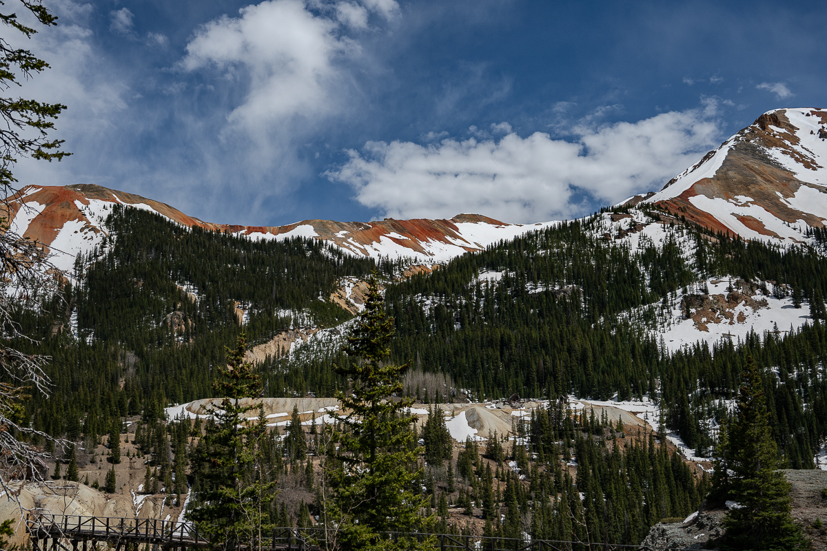 DSC_8391.jpg