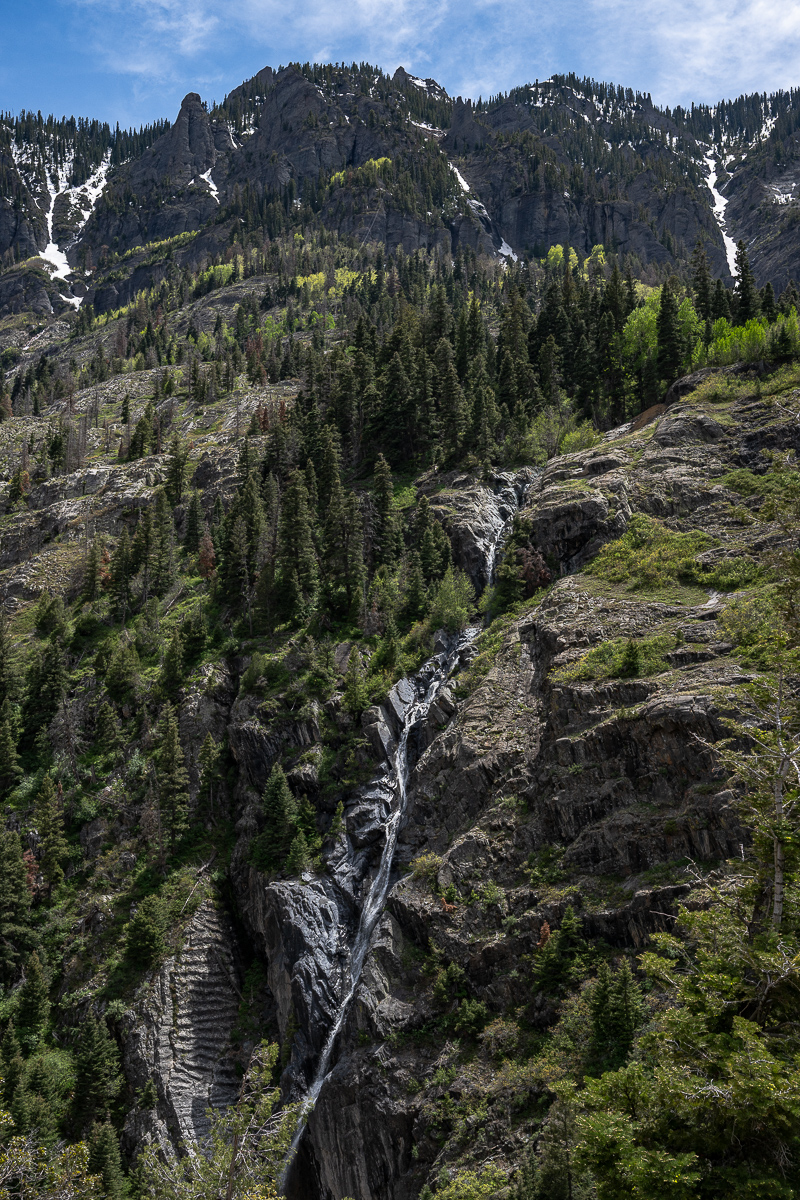DSC_8397.jpg