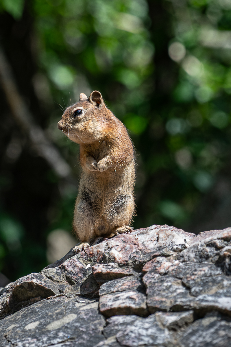 DSC_8401.jpg