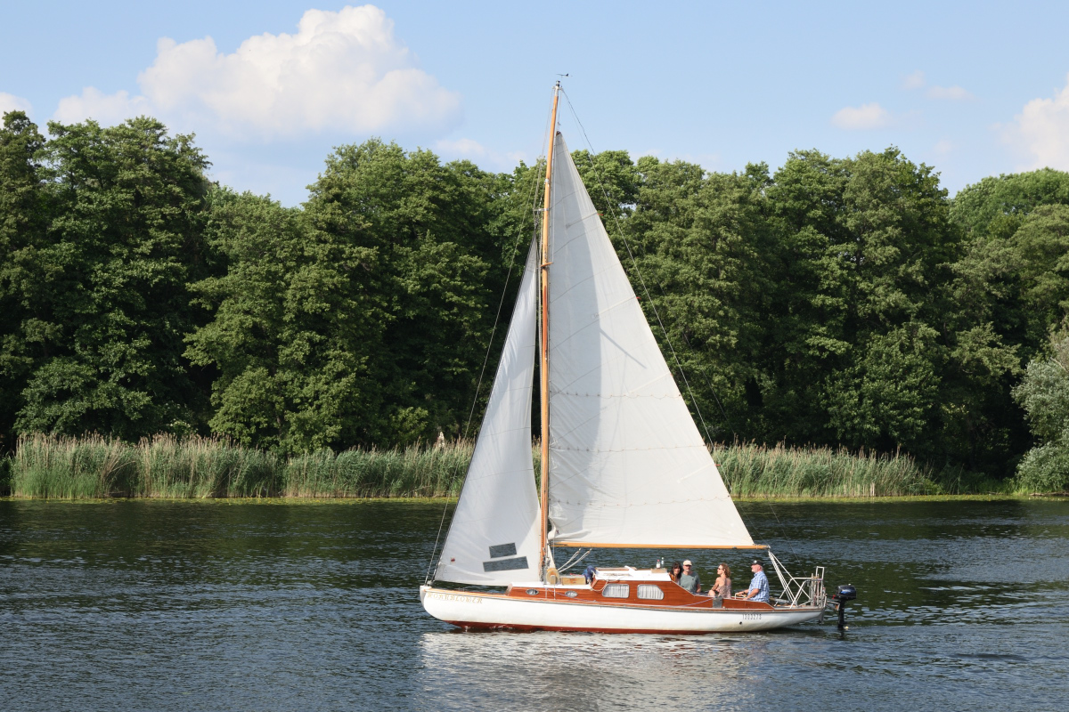 DSC_8460.JPG