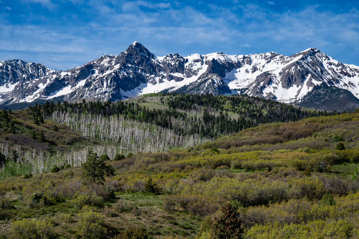 DSC_8472.jpg