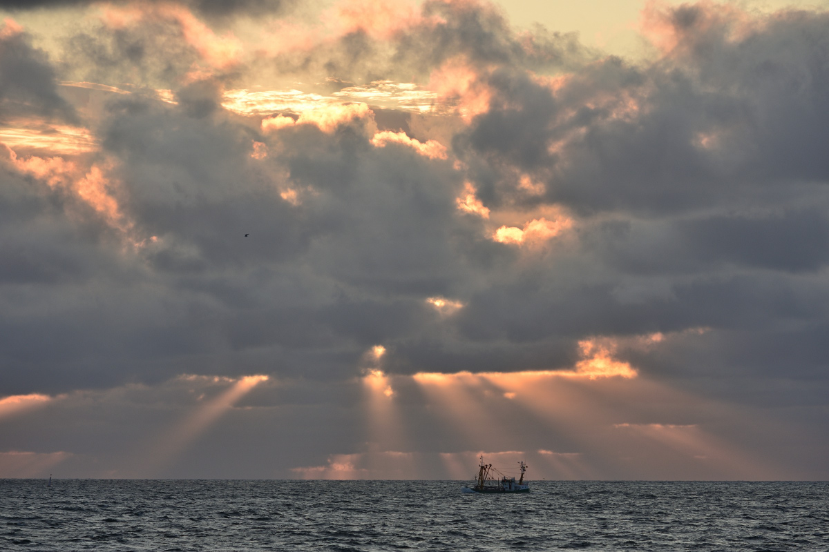 DSC_8486.JPG