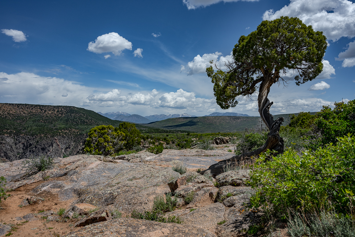 DSC_8532.jpg