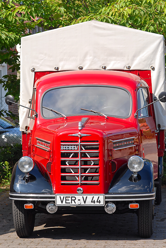 DSC_8545.jpg