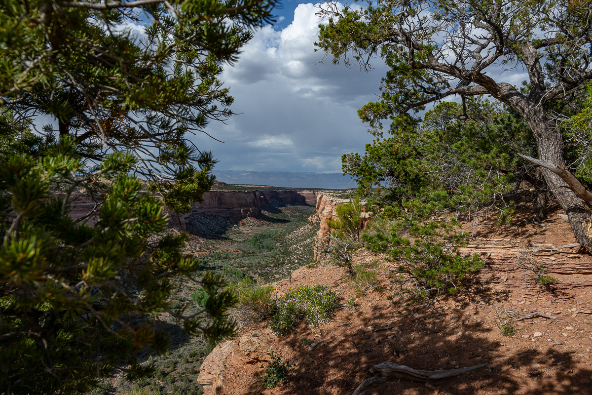 DSC_8556.jpg