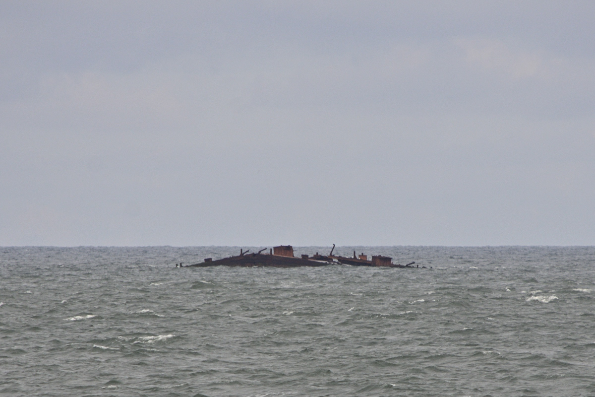 DSC_8572.JPG