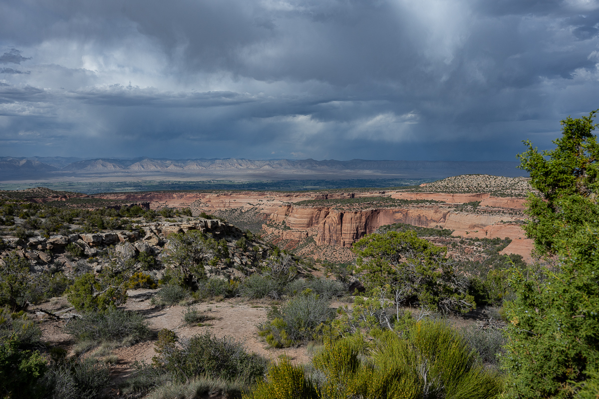 DSC_8577.jpg