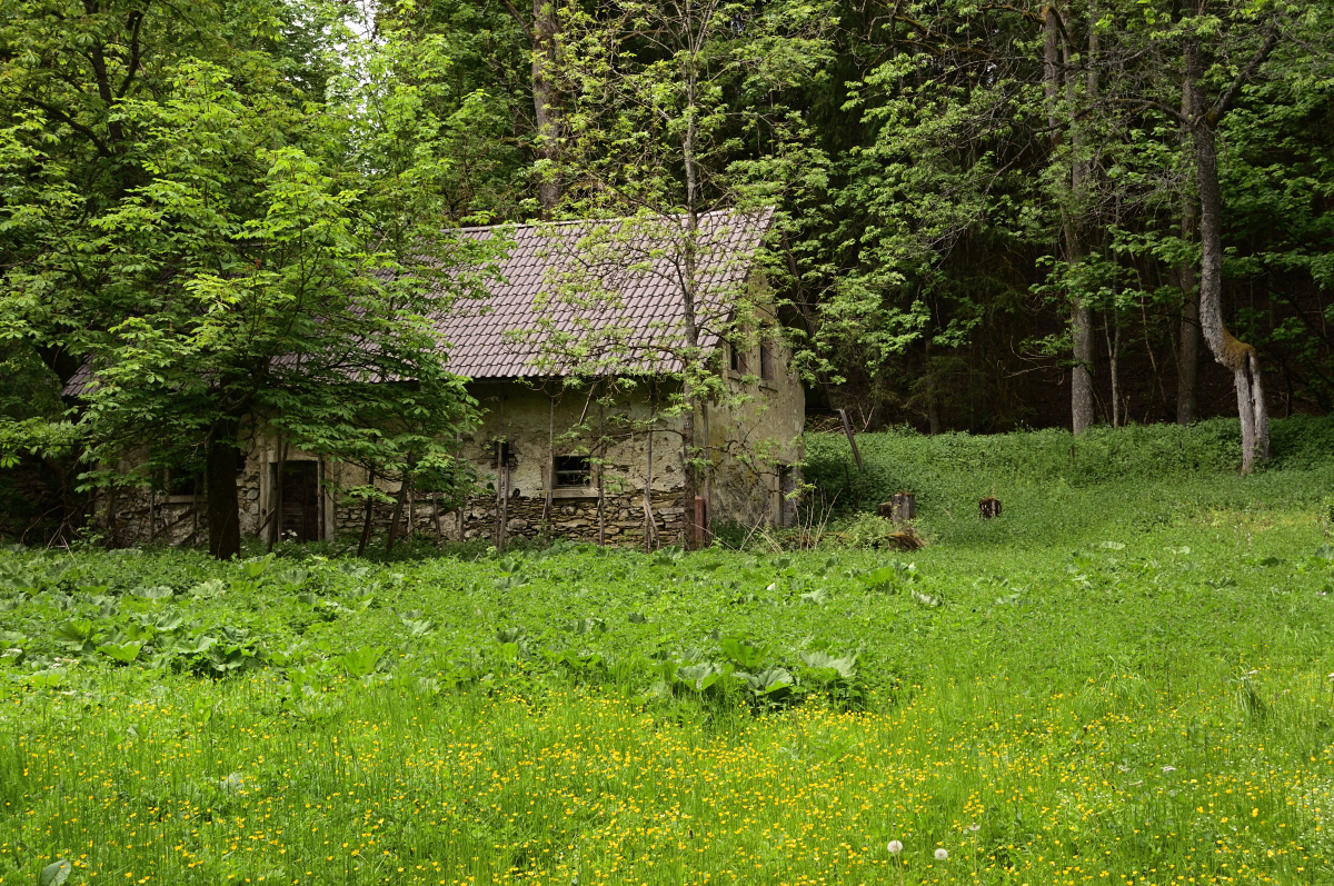 DSC_8590.JPG