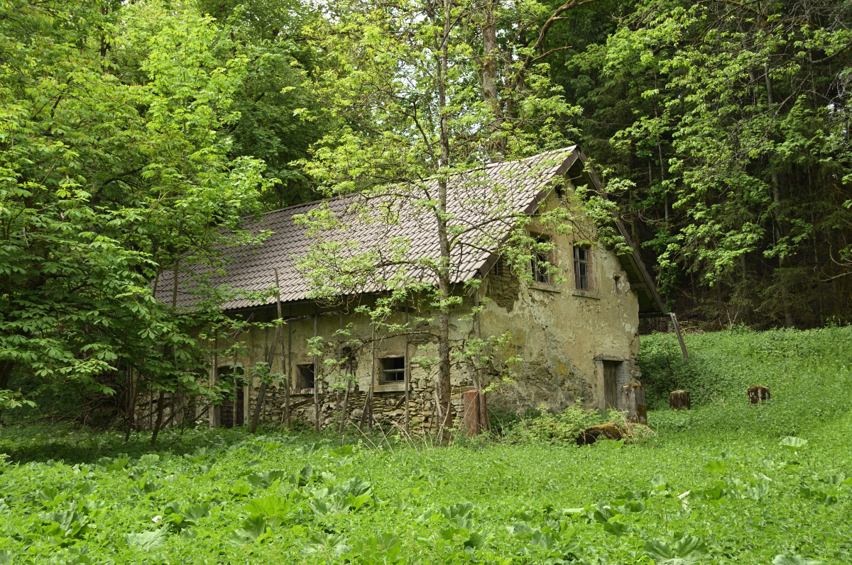 DSC_8591.JPG