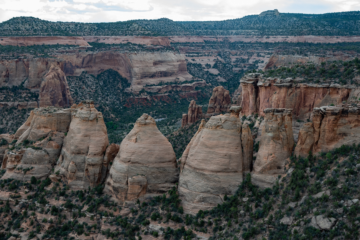 DSC_8592.jpg