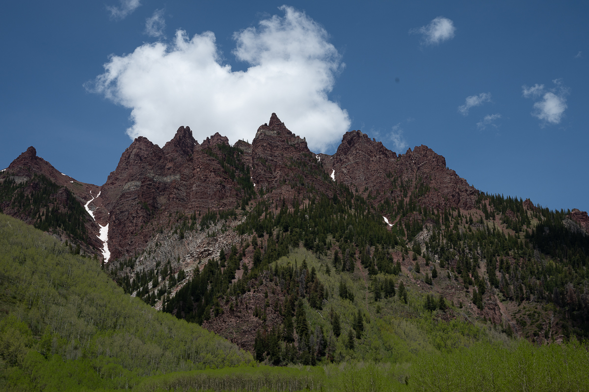 DSC_8600.jpg