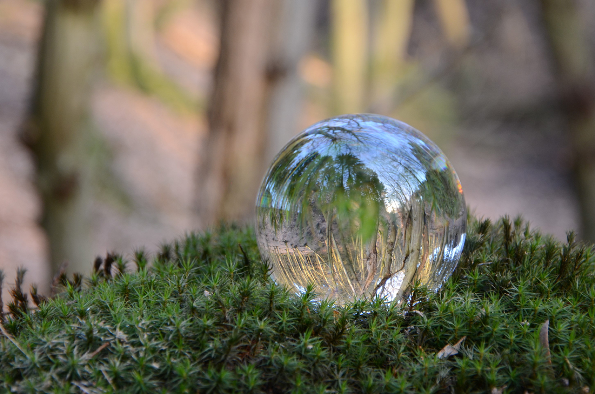 DSC_8658 Glaskugel