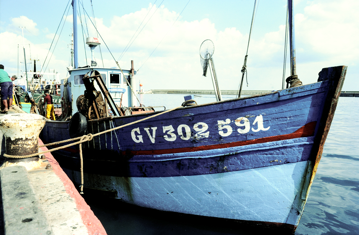 DSC_8661.jpg