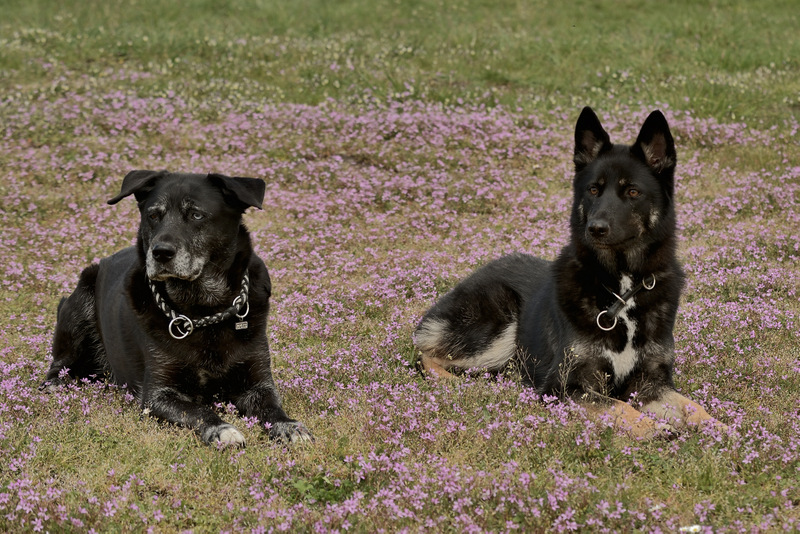 DSC_8692.jpg