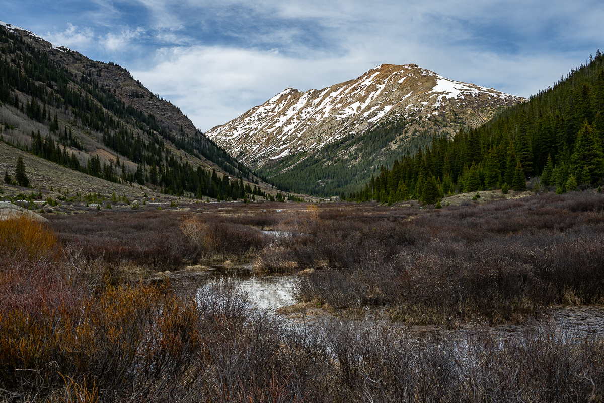 DSC_8719.jpg