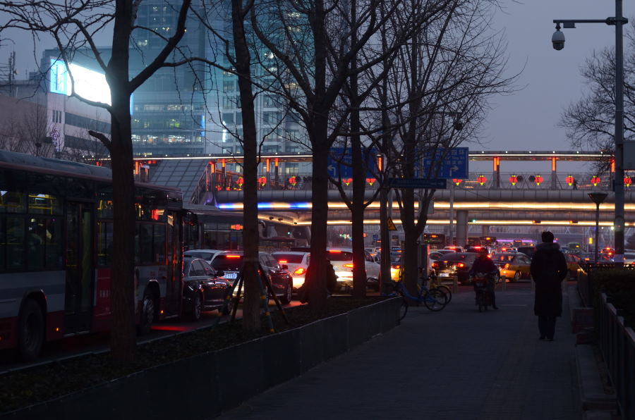 DSC_8729_01.JPG