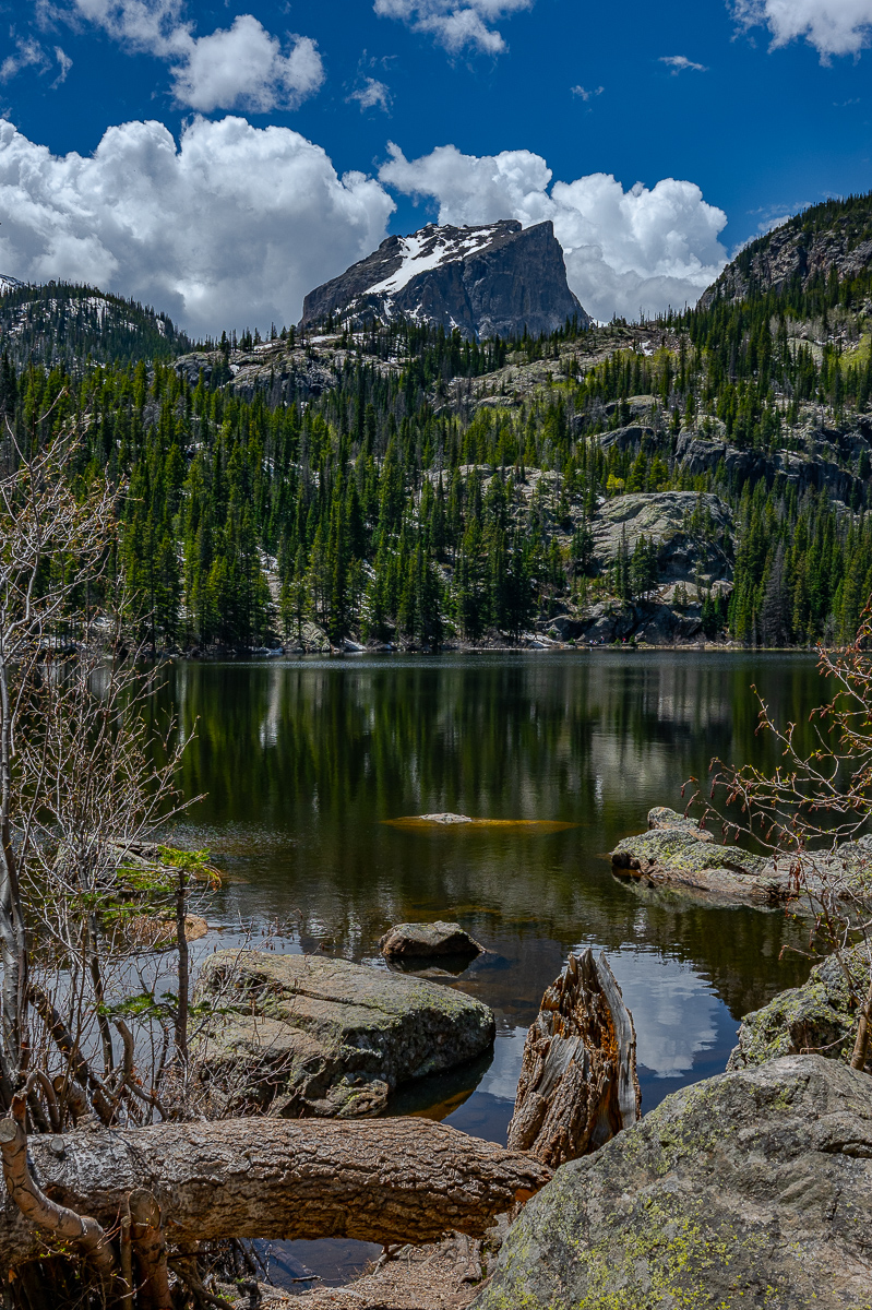DSC_8749.jpg