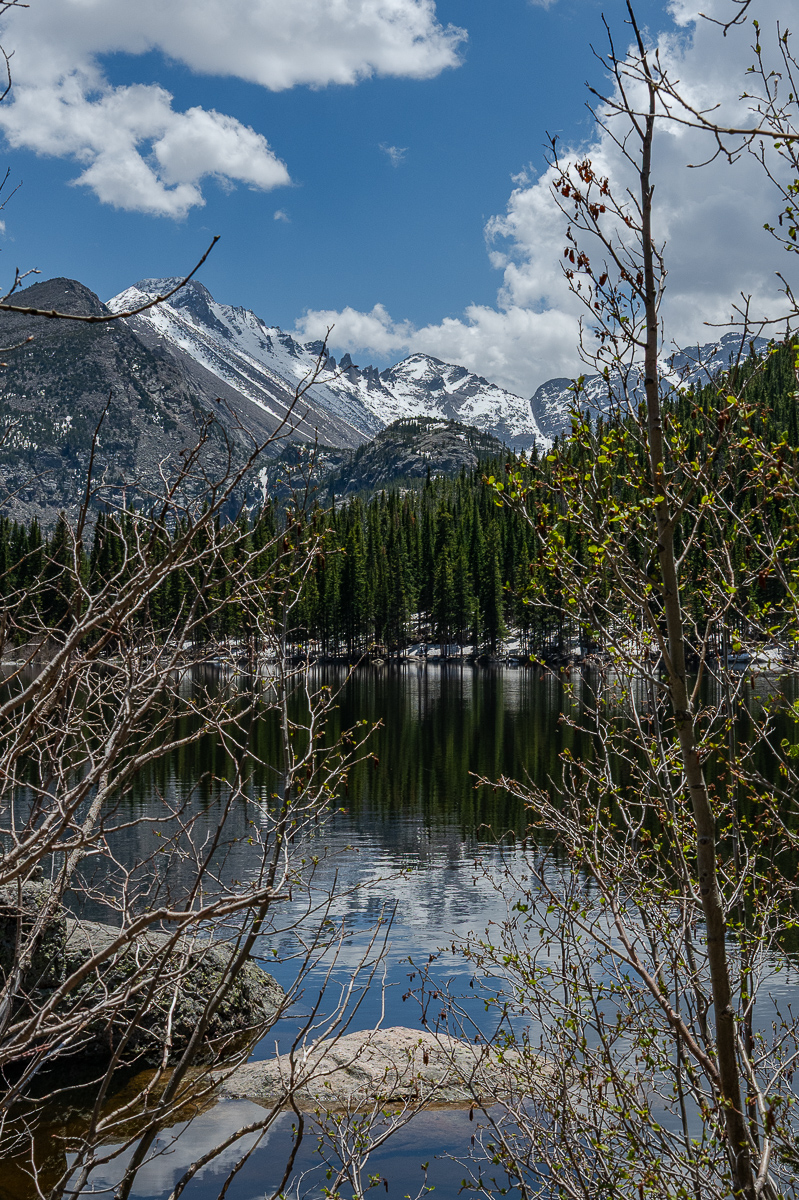 DSC_8752.jpg