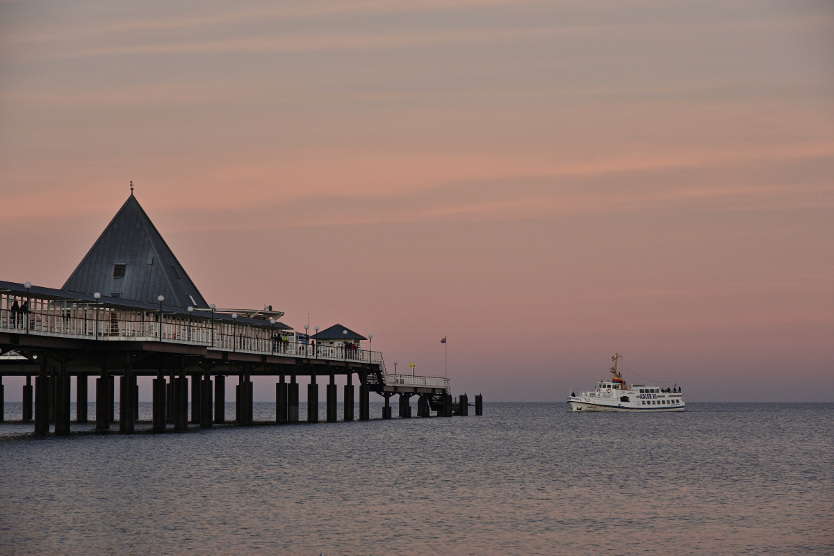 DSC_8774.JPG