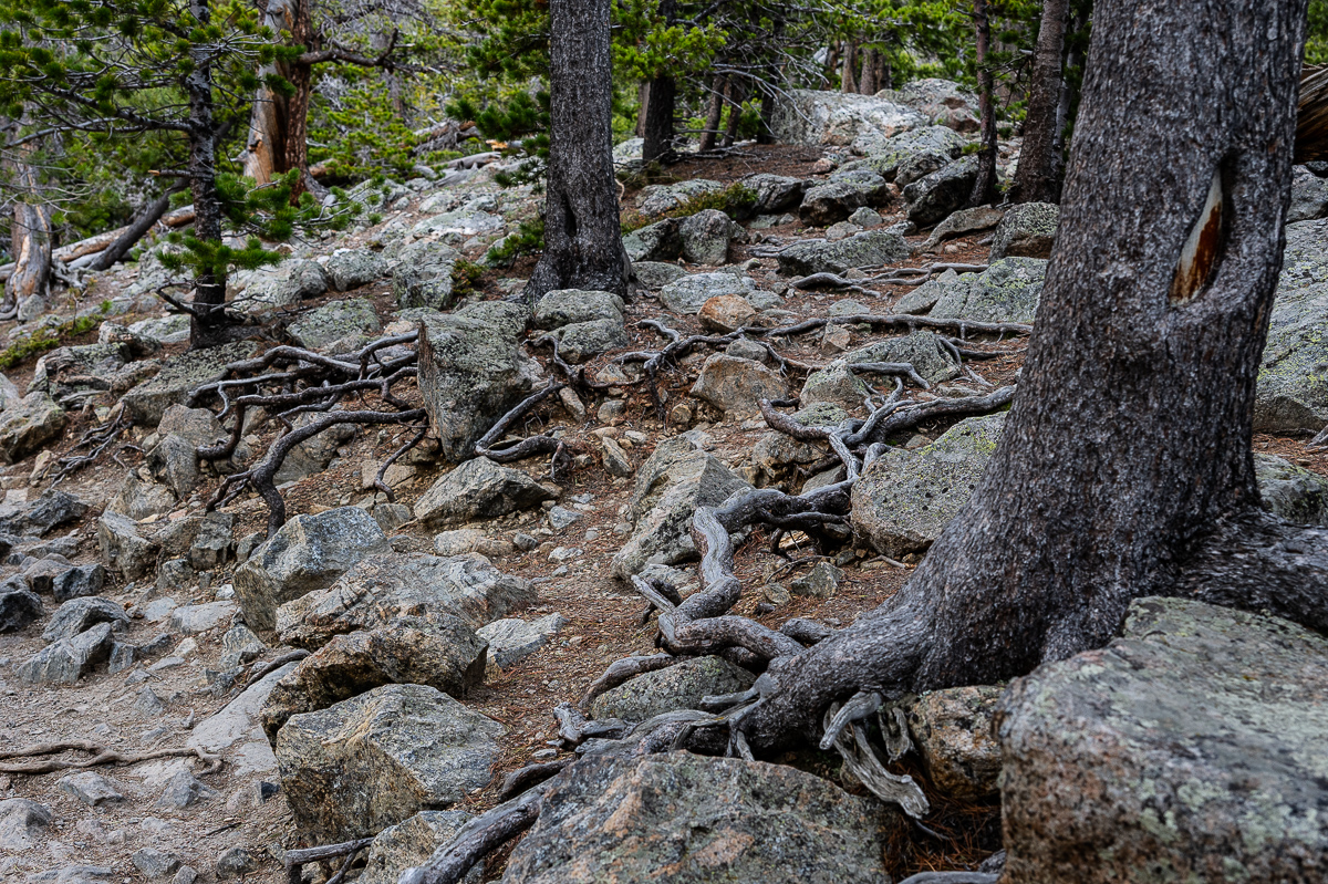 DSC_8778.jpg
