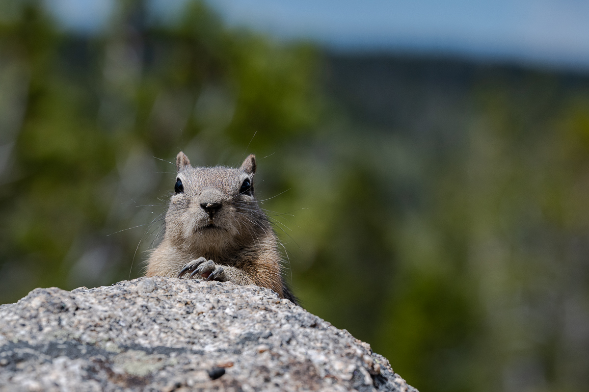 DSC_8785.jpg