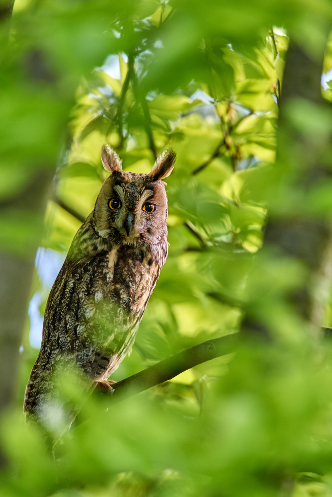 DSC_8791 1.jpg