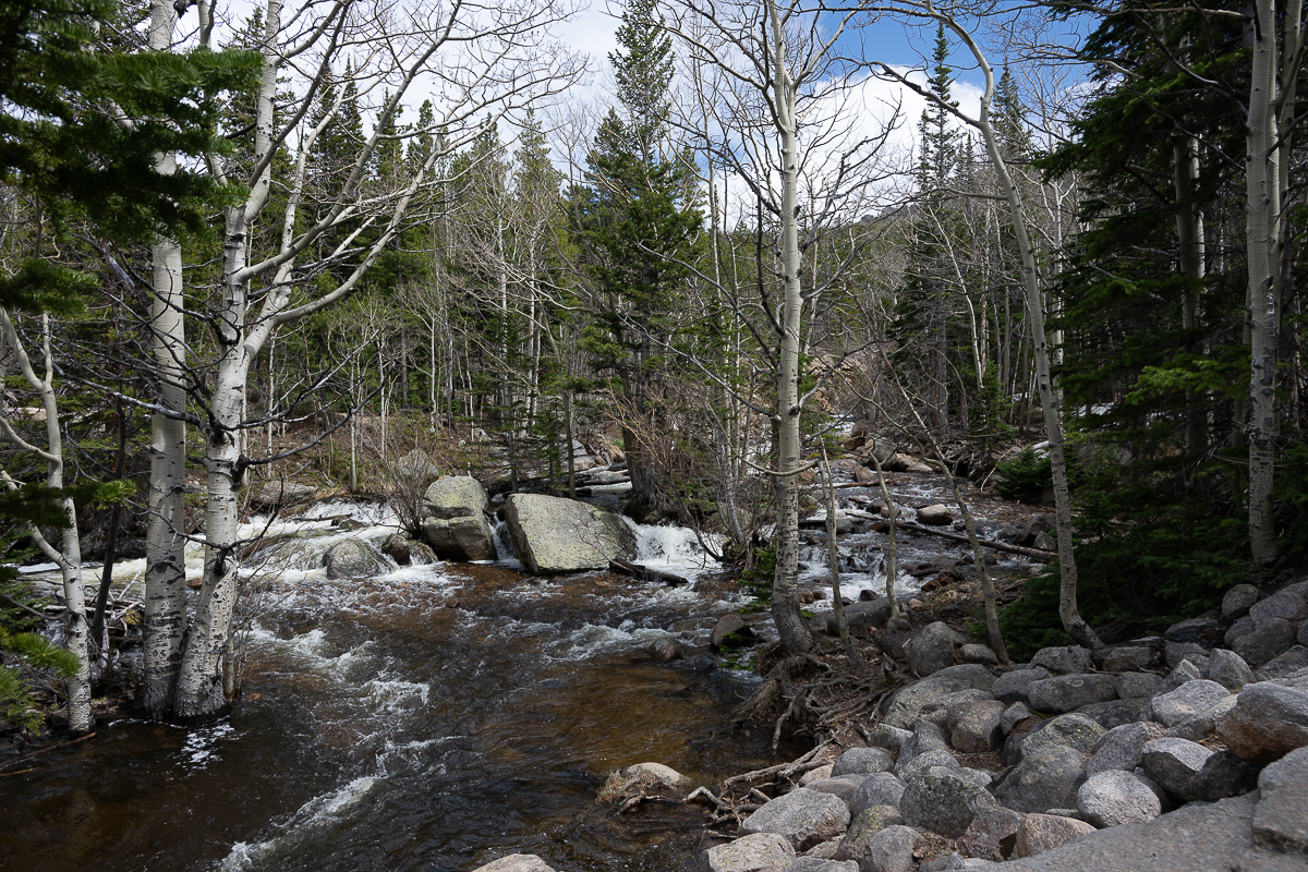 DSC_8793.jpg
