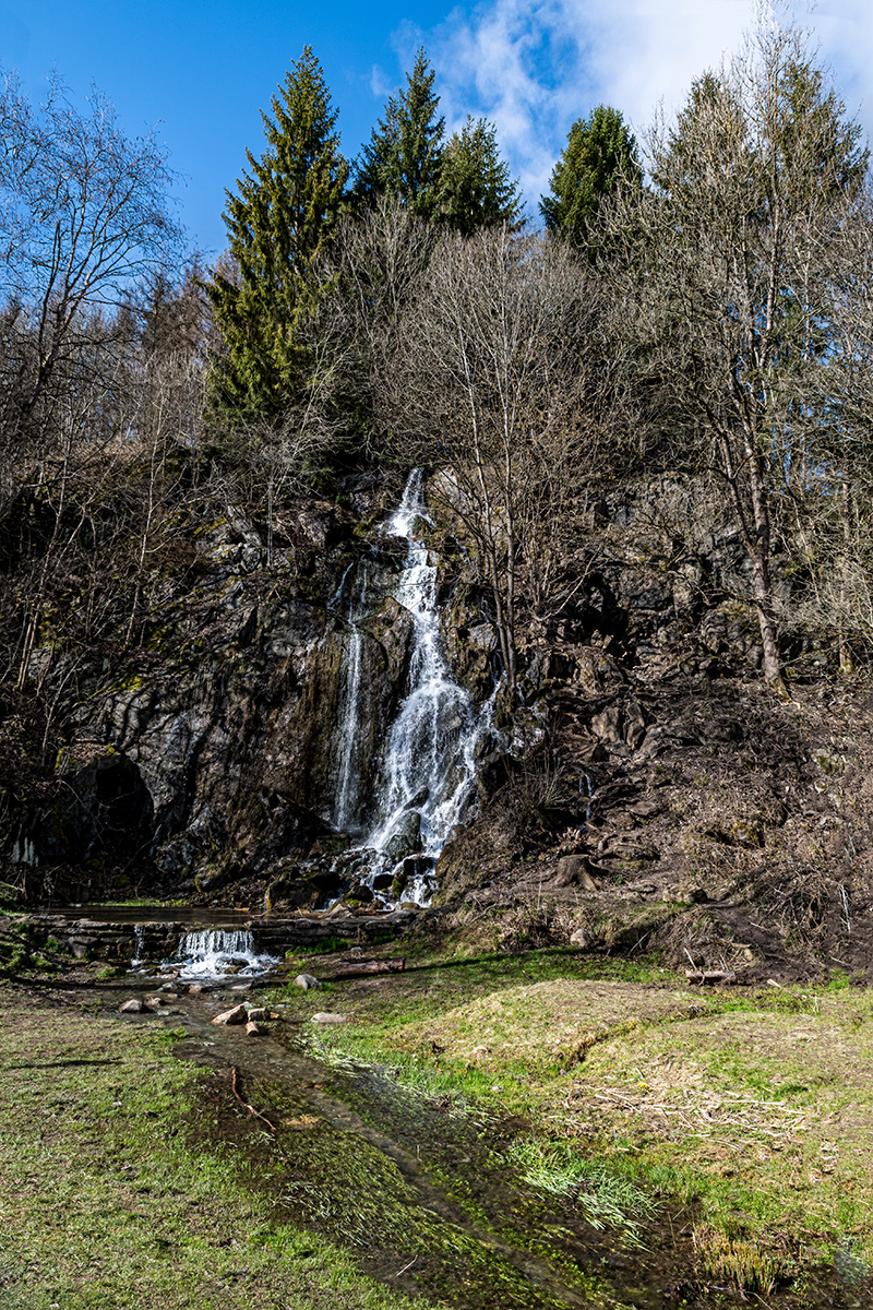 DSC_8798.jpg