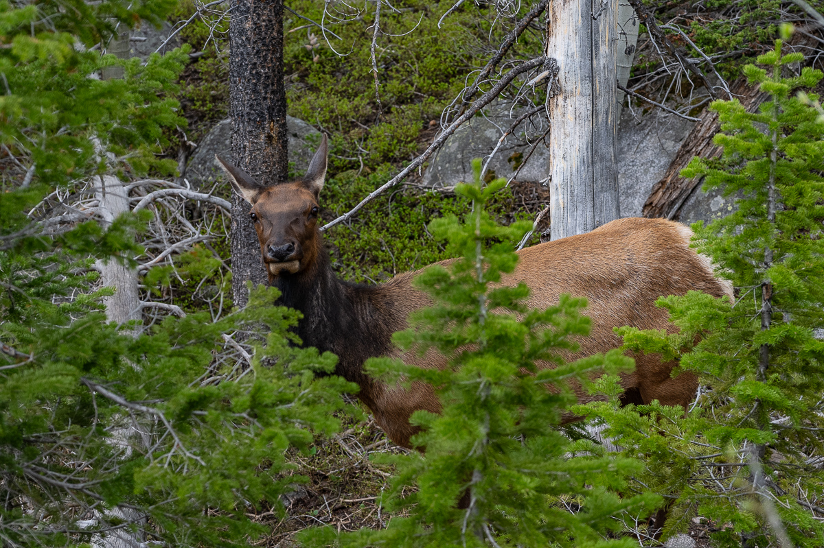 DSC_8806.jpg