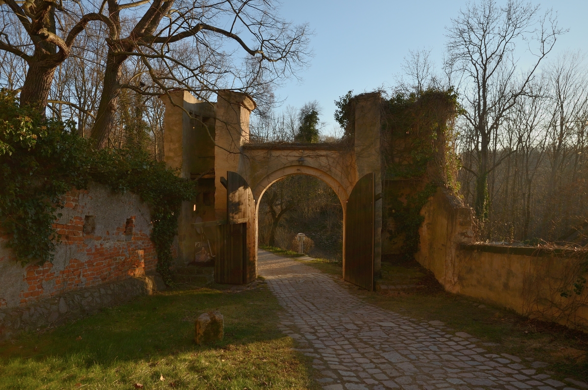 DSC_8823_00001 (2)n.jpg