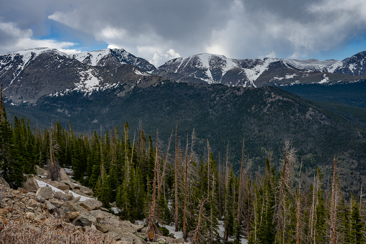 DSC_8880.jpg
