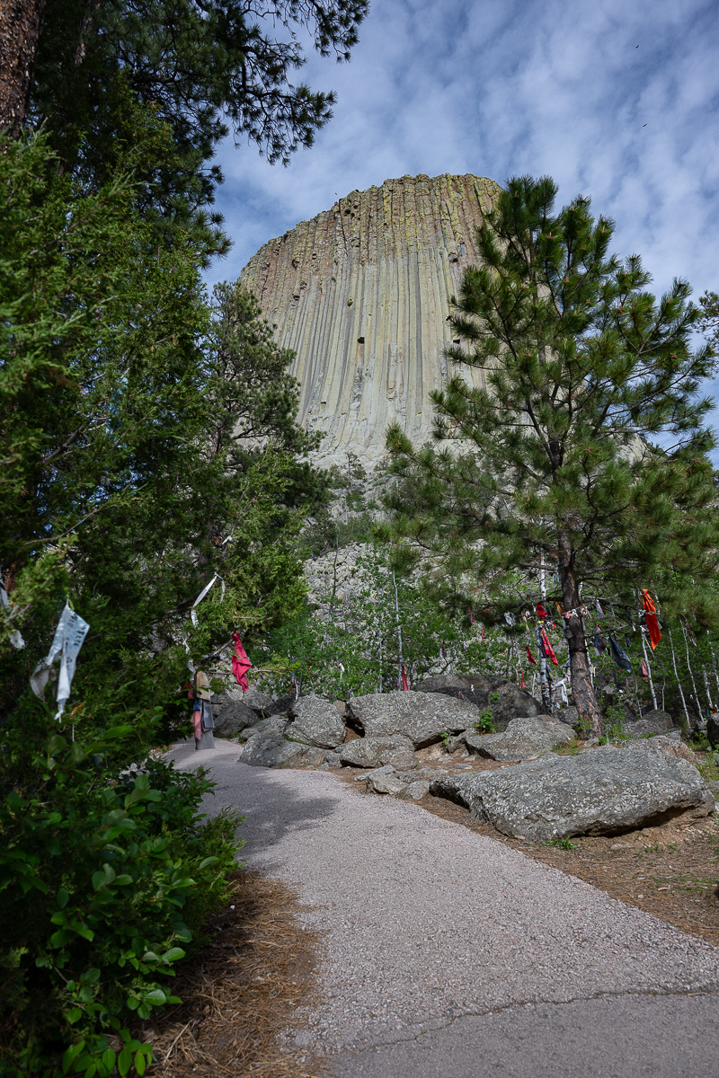 DSC_8908.jpg