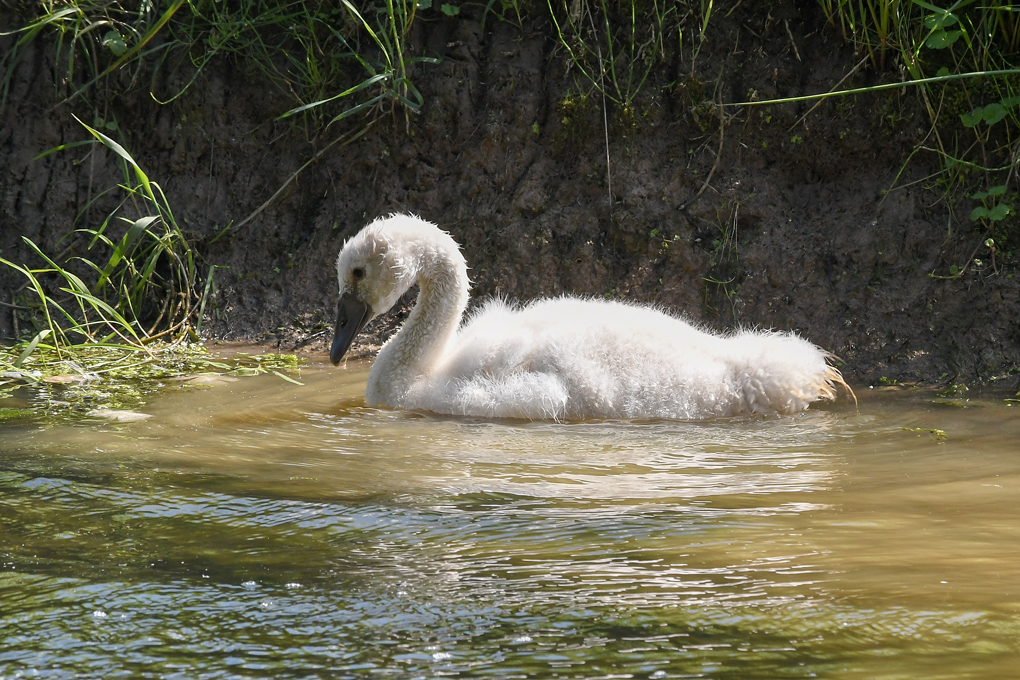 DSC_8917.jpg