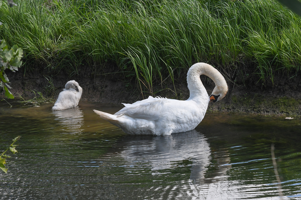 DSC_8933.jpg