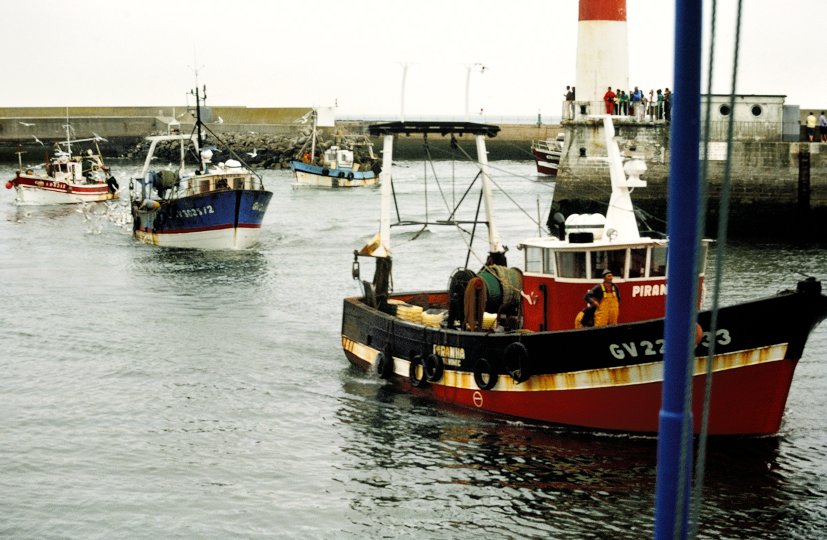 DSC_8959.jpg